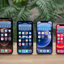 Apple chính là "vị cứu tinh" cho ngành smartphone năm 2020