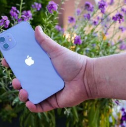 Chờ iPhone 13 hay nên mua iPhone 12 màu Tím