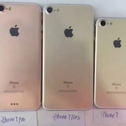 Apple sẽ chỉ ra hai phiên bản iPhone mới