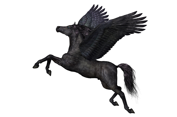 2622587_Pegasus_1