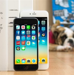 Doanh số iPhone 6 gấp '3 lần' so với iPhone 6 Plus